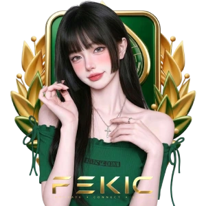 fekicสล็อต