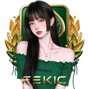 โบนัสfekic